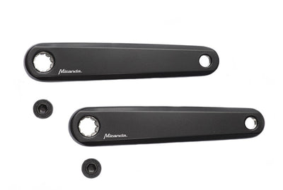 crankset e-bike Delta Bosch 170 mm zwart