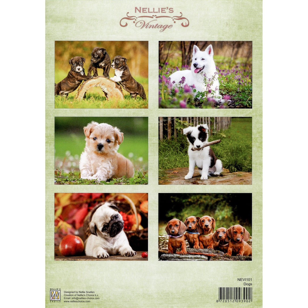 Nellie's choice • vintage knipvel vel dogs a4
