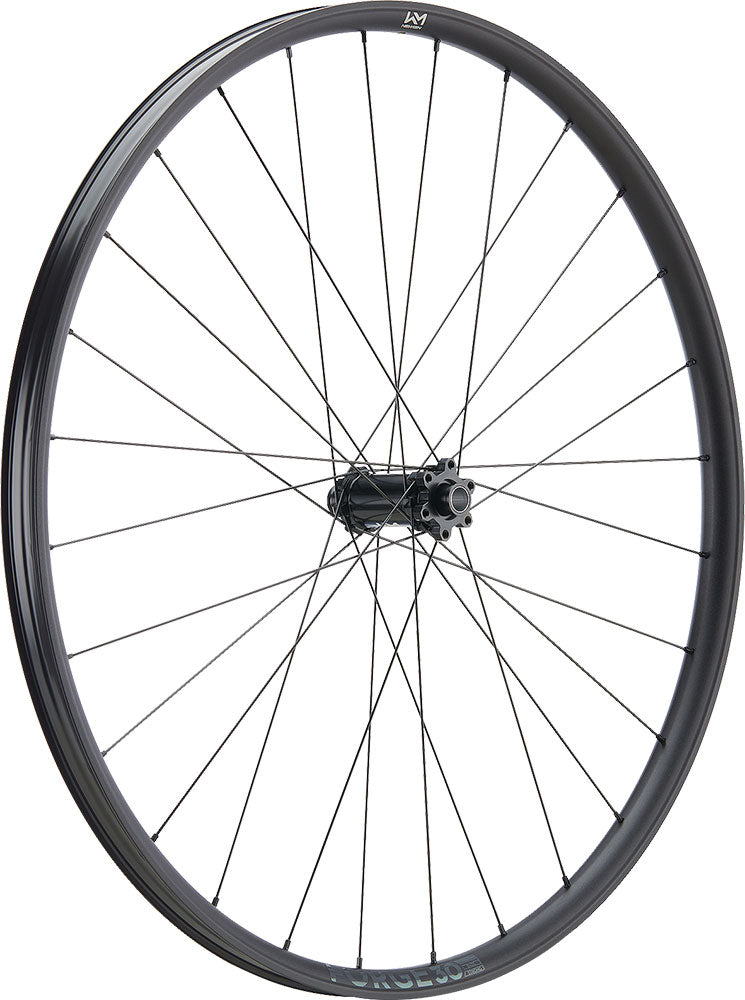 Newmen forge 30 base trail 29 6-bolt 15x110 fade front wheel