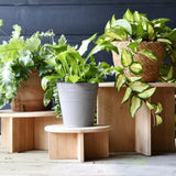 Esschert design plantentafeltje bamboe m dia25x11cm - afbeelding 2
