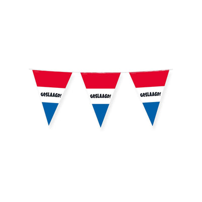 Paperdreams party flags geslaagd rood wit blauw
