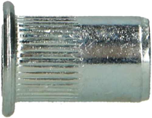 Pgb-europe pgb-fasteners | blindklinkmoer cilindr. kop m6x14,5 zn rivn12001006000143