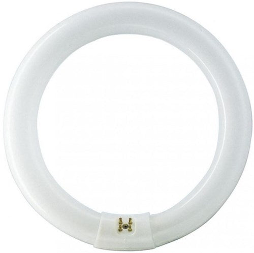 Philips ronde tl 22w 840 tle coolwhite 5900609