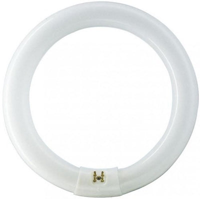 Philips ronde tl 22w 840 tle coolwhite 5900609
