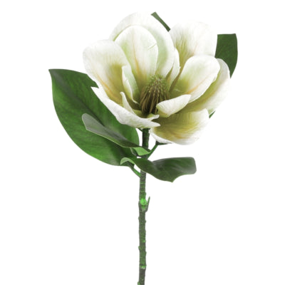 Countryfield kunstbloem magnolia wit 65 cm | 12 stuks