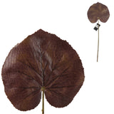 Countryfield kunstblad jay l 51 cm | 72 stuks - afbeelding 1