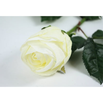 Kunstbloem roos zijde wit 59 cm | 12 stuks