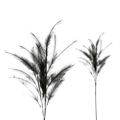 Daan kromhout hbx kunsttak pluim zwart 150 cm | 12 stuks