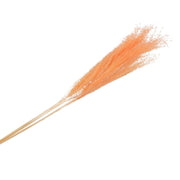 Daan kromhout kunsttak gedroogd zilvergras peach xl oranje 100 cm | 10 stuks - afbeelding 1
