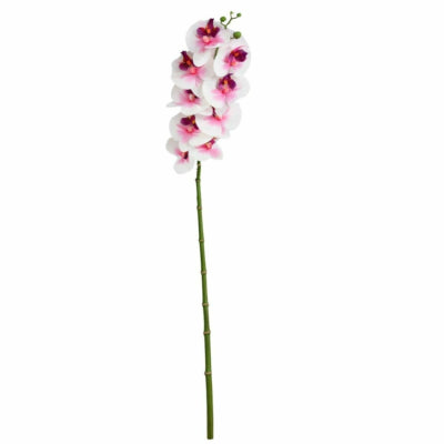 Kunstbloem phalaenopsis wit roze 86 cm | 12 stuks