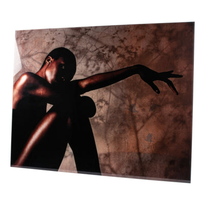 Ptmd glasschilderij savanna by monk limited edition 130 x 100 cm
