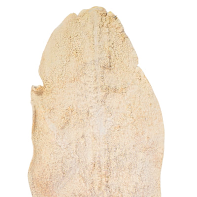 Kunsttak palm blad beige 103 cm | 12 stuks