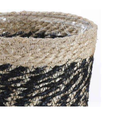 Mica mand bonaparte zwart 20 cm | 12 stuks