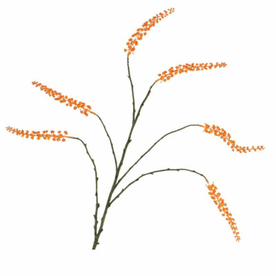 Daan kromhout kunsttak bessen oranje 115 cm | 12 stuks