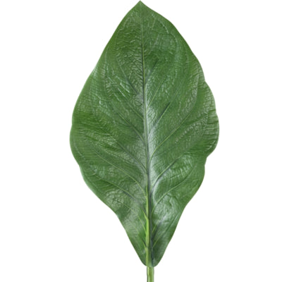 Ptmd kunsttak leaves donkergroen 80 cm | 12 stuks