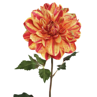 Ptmd kunstbloem dahlia geel rood 73 cm | 6 stuks