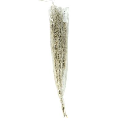 Bundel gedroogd chili gras wit 85-95 cm | 24 stuks