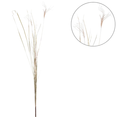 Droogtak pampas naturel 150 cm | 10 stuks