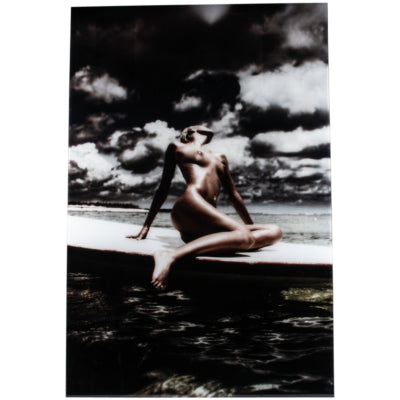 Ptmd glasschilderij exclusive art poseila by macandrew 150 x 100 cm