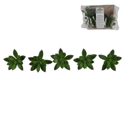 Kunstvetplant 7 cm set van 5 | 12 stuks