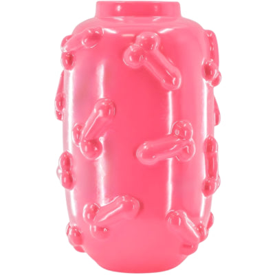 Housevitamin vaas dick roze 27 cm | 4 stuks