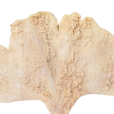 Kunsttak ginkgo blad beige 97 cm | 24 stuks