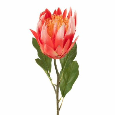 J-line kunstbloem protea rood 68 cm | 6 stuks