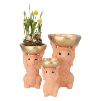 Daan kromhout schaal konijn oranje 23 cm | 6 stuks