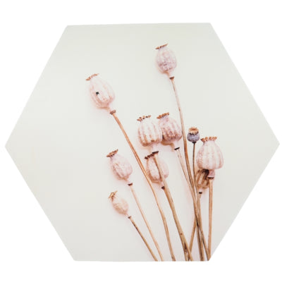 Wanddecoratie papaver hout 58 cm | 6 stuks