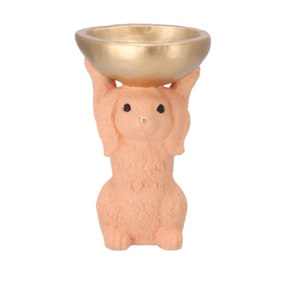 Daan kromhout schaal konijn oranje 23 cm | 6 stuks