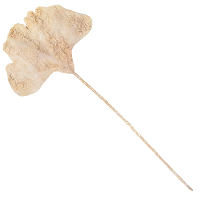 Kunsttak ginkgo blad beige 97 cm | 24 stuks
