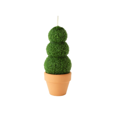 Kaars buxus in pot 6 x 13 cm | 12 stuks