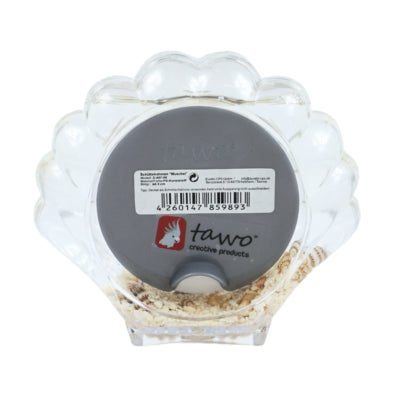 Fotolijst schelp 6,5 cm | 12 stuks