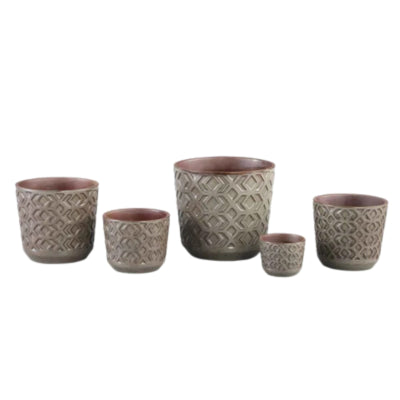 Ptmd bloempot pella xs bruin 7,5 cm | 24 stuks