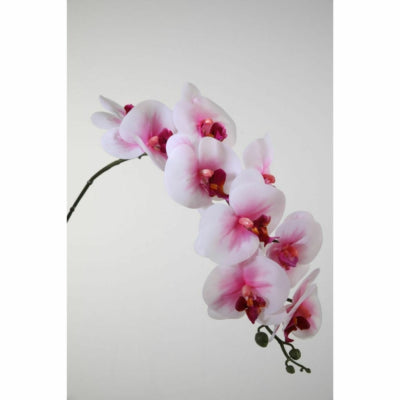 Kunstbloem phalaenopsis wit roze 86 cm | 12 stuks
