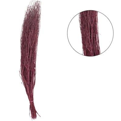Bundel gedroogd coriander roze 70 cm | 36 stuks
