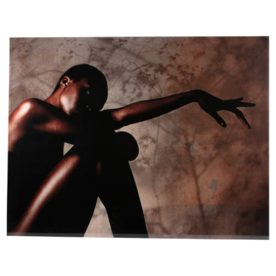 Ptmd glasschilderij savanna by monk limited edition 130 x 100 cm