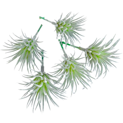Kunstplant tillandsia groen 7.5 cm set van 5 | 24 stuks