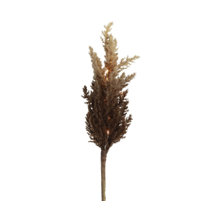 Countryfield kunsttak astilbe led op batterij bruin 90 cm | 12 stuks