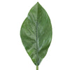 Ptmd kunsttak leaves donkergroen 70 cm | 12 stuks