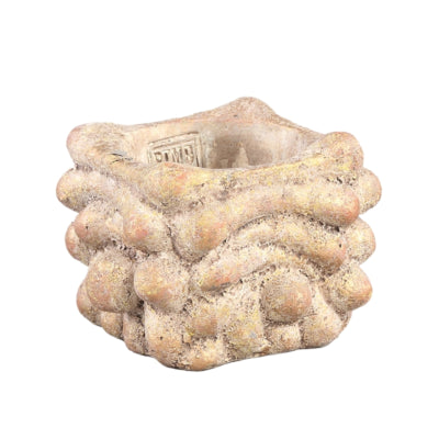Ptmd bloempot drew xs crème 12 cm | 16 stuks