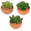 Kunstplant in pot 9 cm 3 assorti | 12 stuks