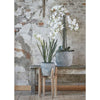 Mica plantenstandaard hout 48 cm | 4 stuks