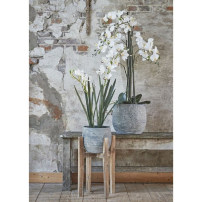 Mica plantenstandaard hout 48 cm | 4 stuks
