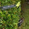 Ryobi ry18pht40a-120 telescopische heggenschaar | 18v | incl. 1x 2.0ah accu + lader - 5133006991
