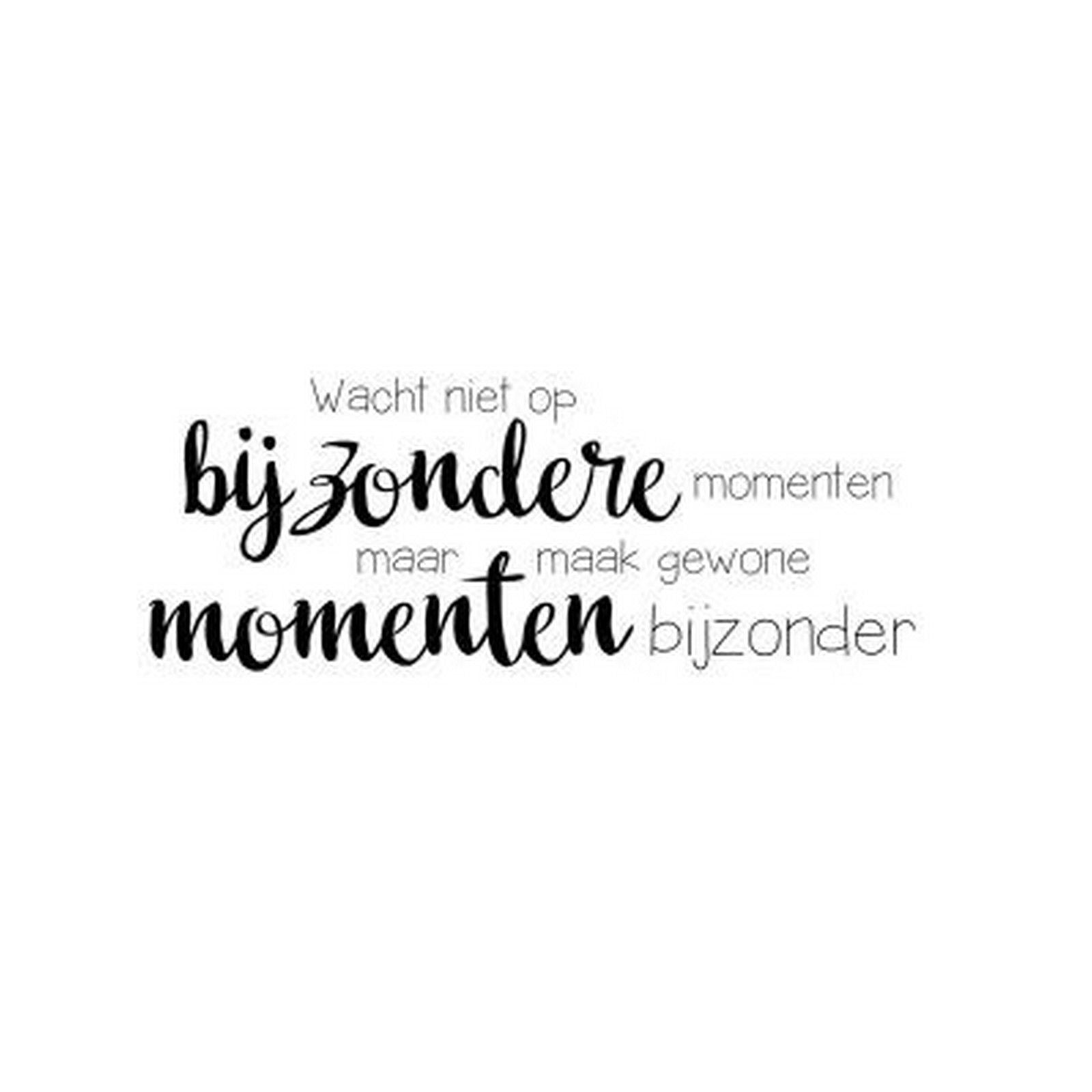 Nellie's choice • clear stempel nederlands 4 wacht niet op