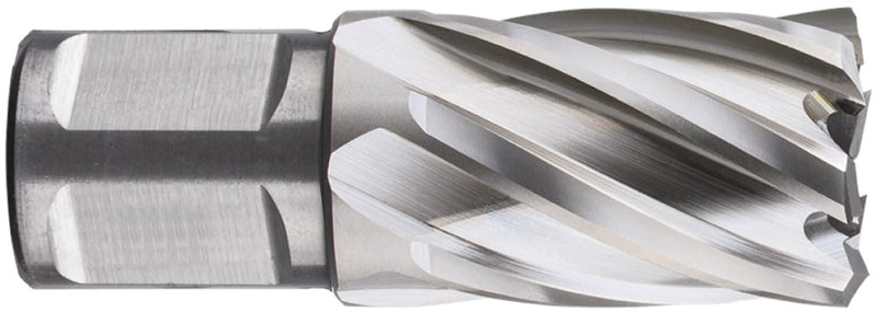 Rotec kernboor hss silver-line 38.0mm sl30 weldon