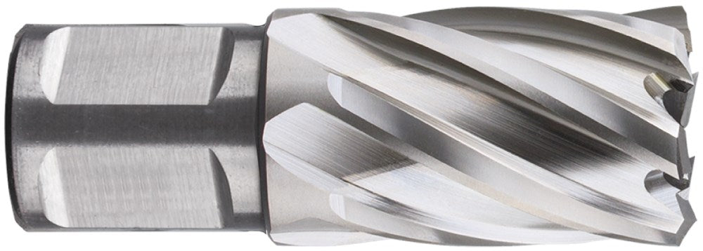 Rotec kernboor hss silver-line 46.0mm sl30 weldon