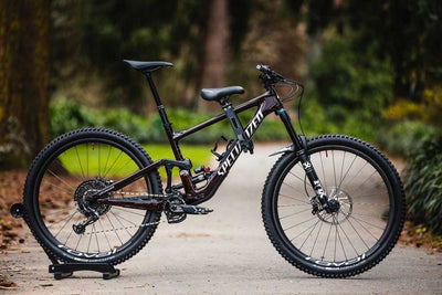 Kids ride shotgun mtb front seat
