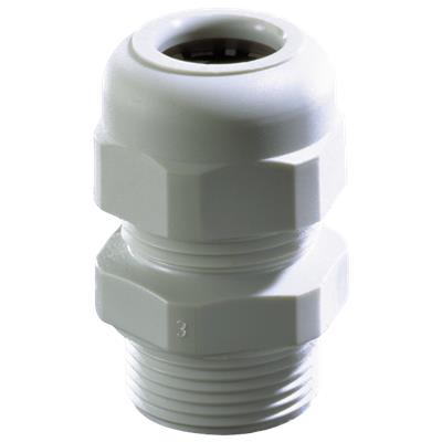 Wiska sprintwartel pg13